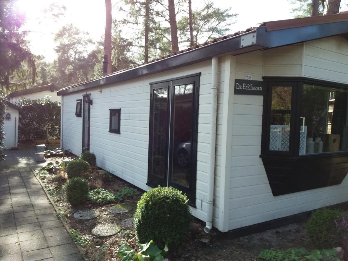 Chalet De Eekhoorn Diever Exterior photo