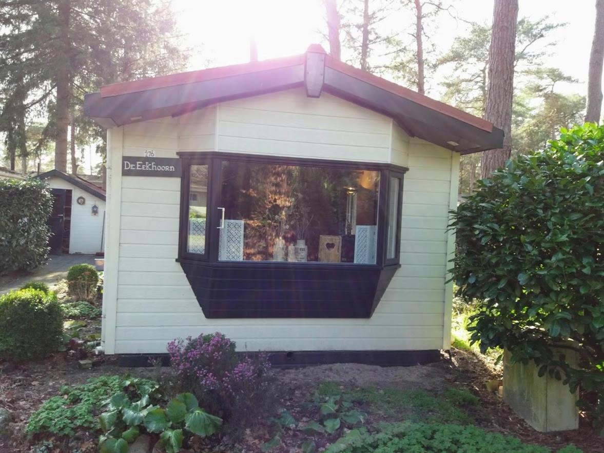 Chalet De Eekhoorn Diever Exterior photo